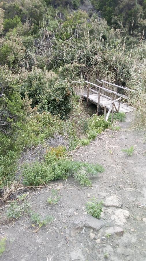 B&B Casa Frank Stromboli Eksteriør billede